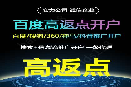 竞价广告在XX行业的成功应用案例